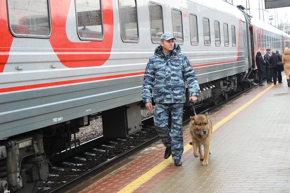 Транспортная полиция. Транспортная полиция на Железнодорожном транспорте. С днем транспортной полиции. Транспортная полиция России. Мвд линейная полиция