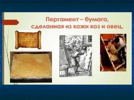 Из чего делают пергамент