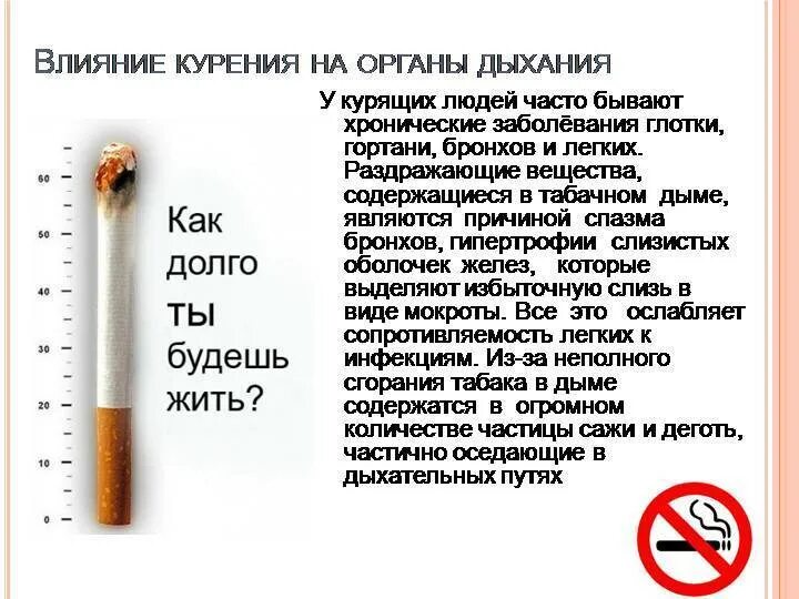 Не курил