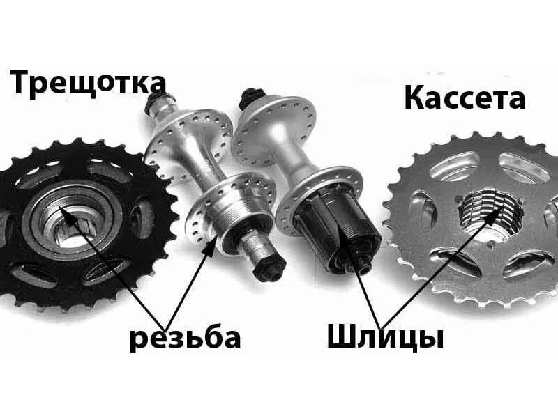 Какую звездочку поставить на велосипед. Как отличить кассету от трещотки. Трещотка и кассета отличия. Задняя втулка шимано 7 скоростей разбор. Отличия кассеты от трещотки для велосипеда.