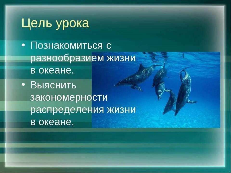 Распространение жизни в океане. Разнообразие жизни в океане. Распределение жизни в мировом океане.