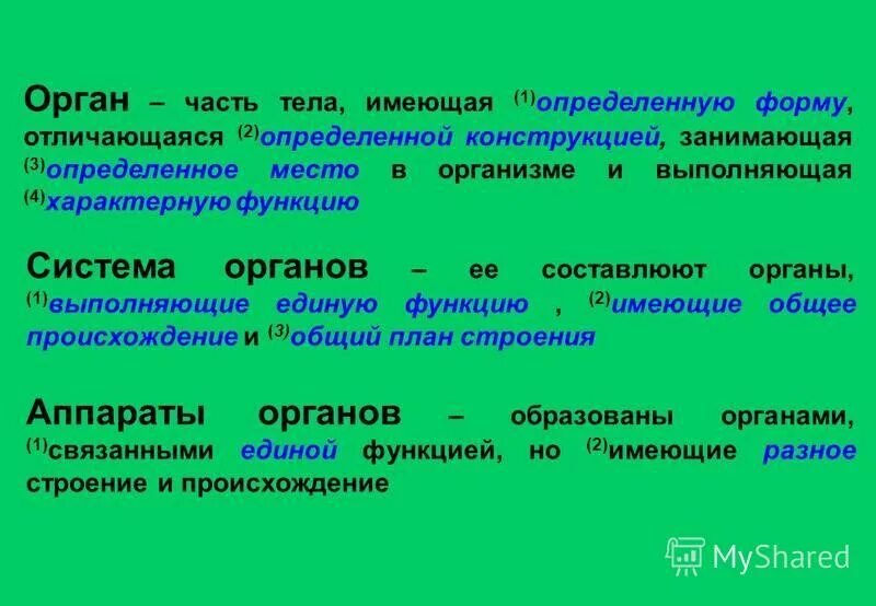 Науки биологии с определениями. Функциональная анатомия это наука изучающая. Что изучает морфология в биологии. Биология как наука егэ. Наука изучая функции организма.