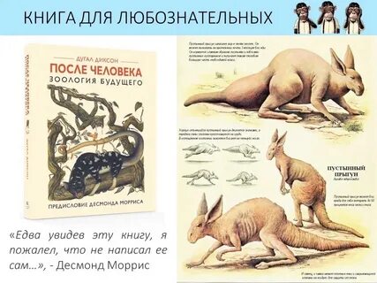 Человек зоология