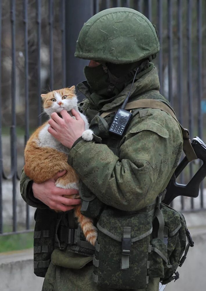 Вежливый солдат. Вежливые люди. Русский солдат смкотом. Кот военный. Кот спецназ.