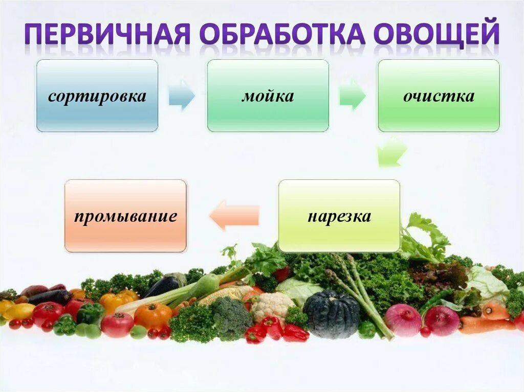 Как обрабатывают овощи. Первичная обработка овощей. Схема первичной обработки овощей. Механическая обработка овощей 5 класс технология. Первичная обработка овощей 5 класс.