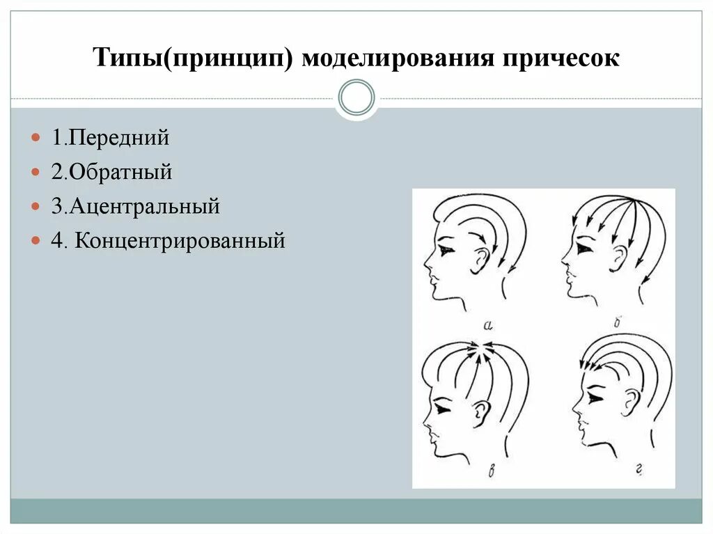 В зависимости от направления делятся. Принципы моделирования прически. Типы причесок. Перечислите типы причесок. Типы (принципы моделирования) причёсок.