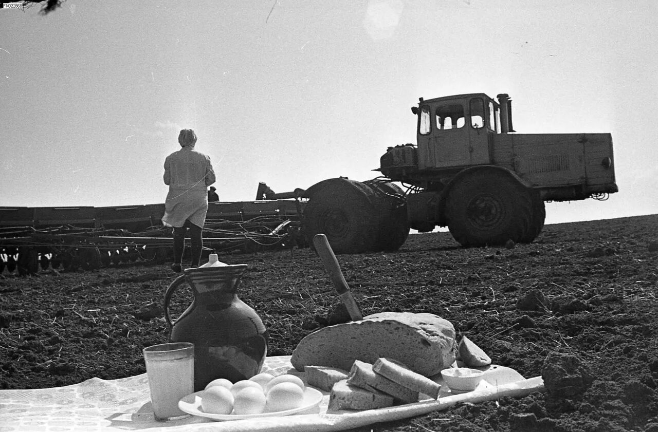 обед тракториста картина. механизаторы в колхозе. освоение целины 1954г. обед комбайнеров в поле. тракторист.
