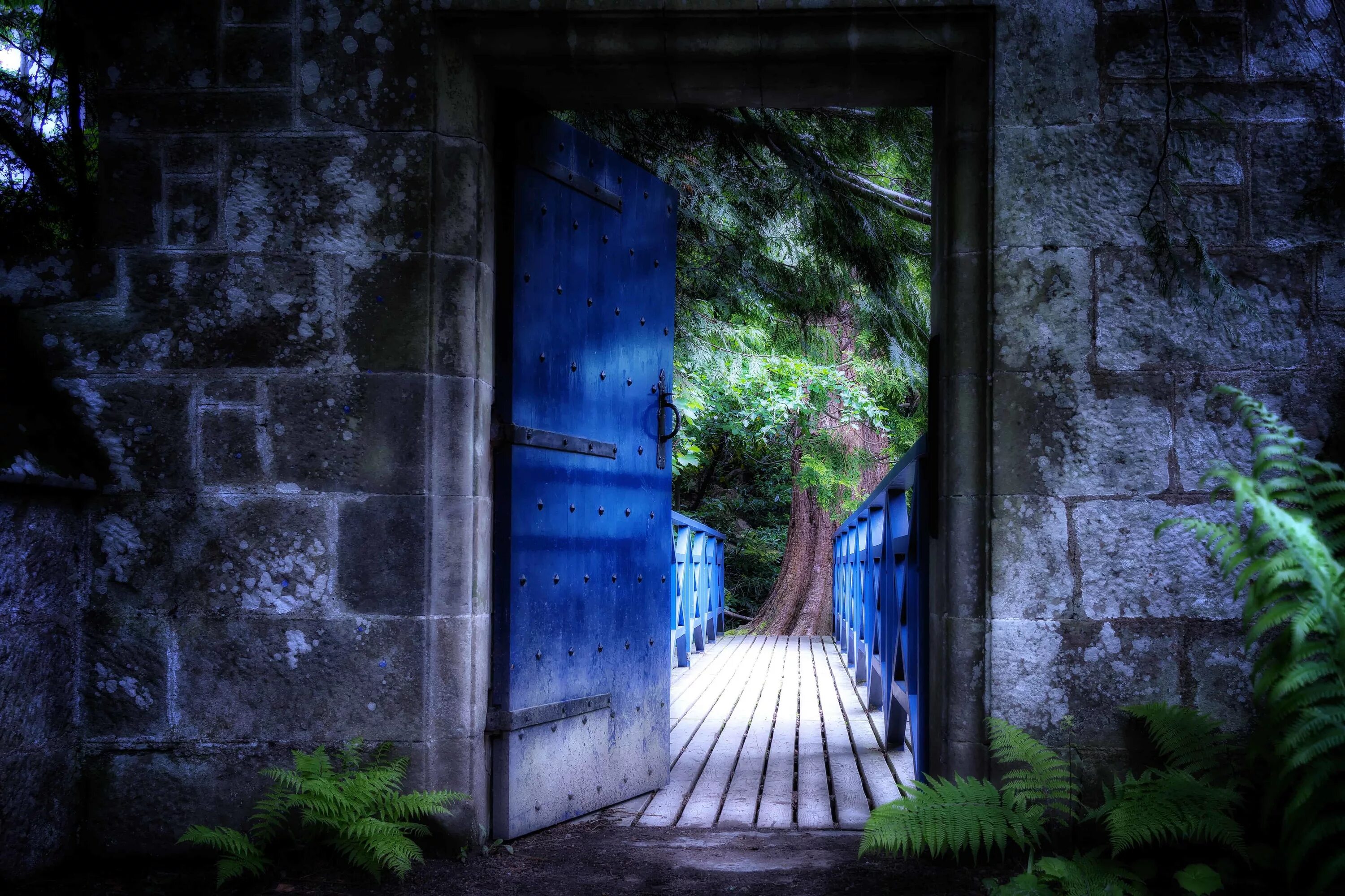 Открытая дверь вк. Открытая дверь. Дверь в природу. Красивые двери. Приоткрытая дверь.