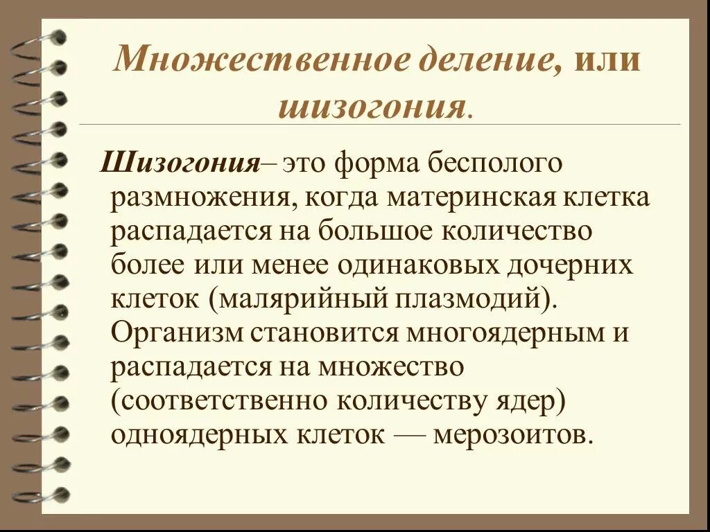 Деление шизогония. Множественное деление. Шизогония это бесполое размножение. Шизогония это в биологии. Множественный организм