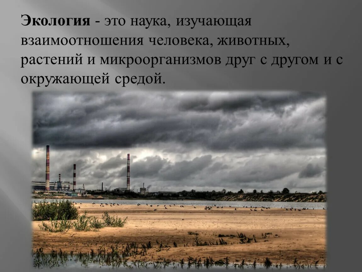 Экологическая ситуация в россии 8. Экологические проблемы. Экологические проблемы России. Антропогенное воздействие человека на окружающую среду. Экологическая ситуация это.