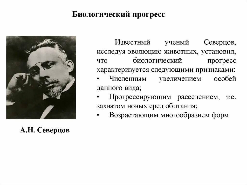 Северцов биологический прогресс. Северцов ученый. Биологический Прогресс характеризуется.