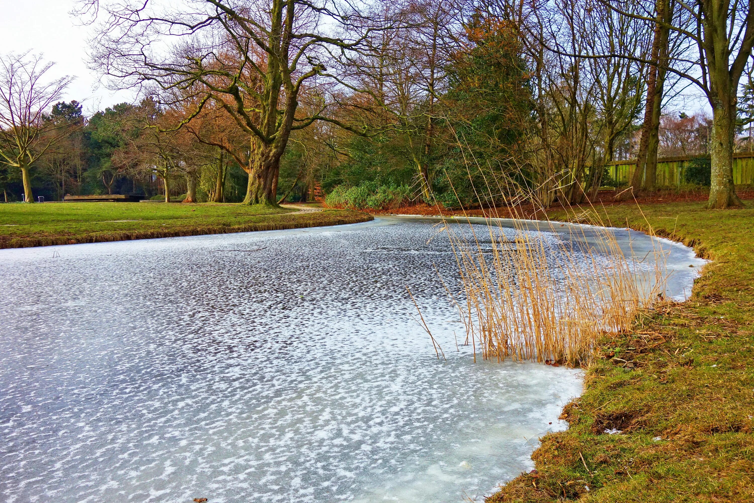 Пруд ледова. Замерзший пруд в парке. картинка застывший пруд. frozen pond. пруд картинка для детей.