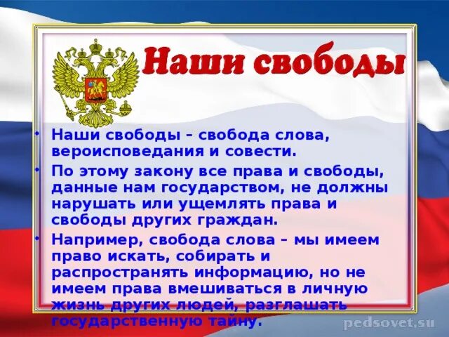 Свобода совести согласно конституции рф. Конституция РФ И Свобода личной информации. Слово гражданин в Конституции РФ означает. В Конституции России свободу слова и мысли. Свобода слова вероисповедания картинка Конституция рисунок.