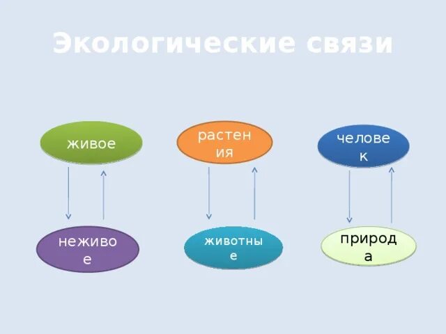 Примеры экологических связей. Экологические связи 3 класс. Что такое экологические связи 4 класс. Примеры экологических связей человек растение.