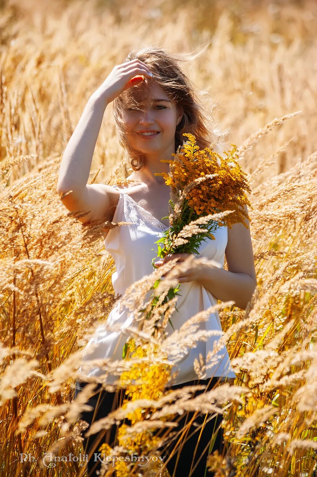 Лето август. Август природа. Раннее летнее утро. Август пейзаж. Знойное поле.