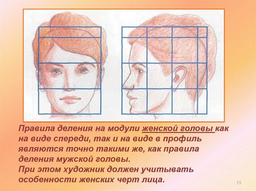 Пропорции лица для рисования. Пропорции лица человека при рисовании портрета схема. Пропорции головы. Править голову бабушкиным методом.