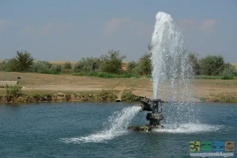Сероводородный источник в иловлинском районе волгоградской