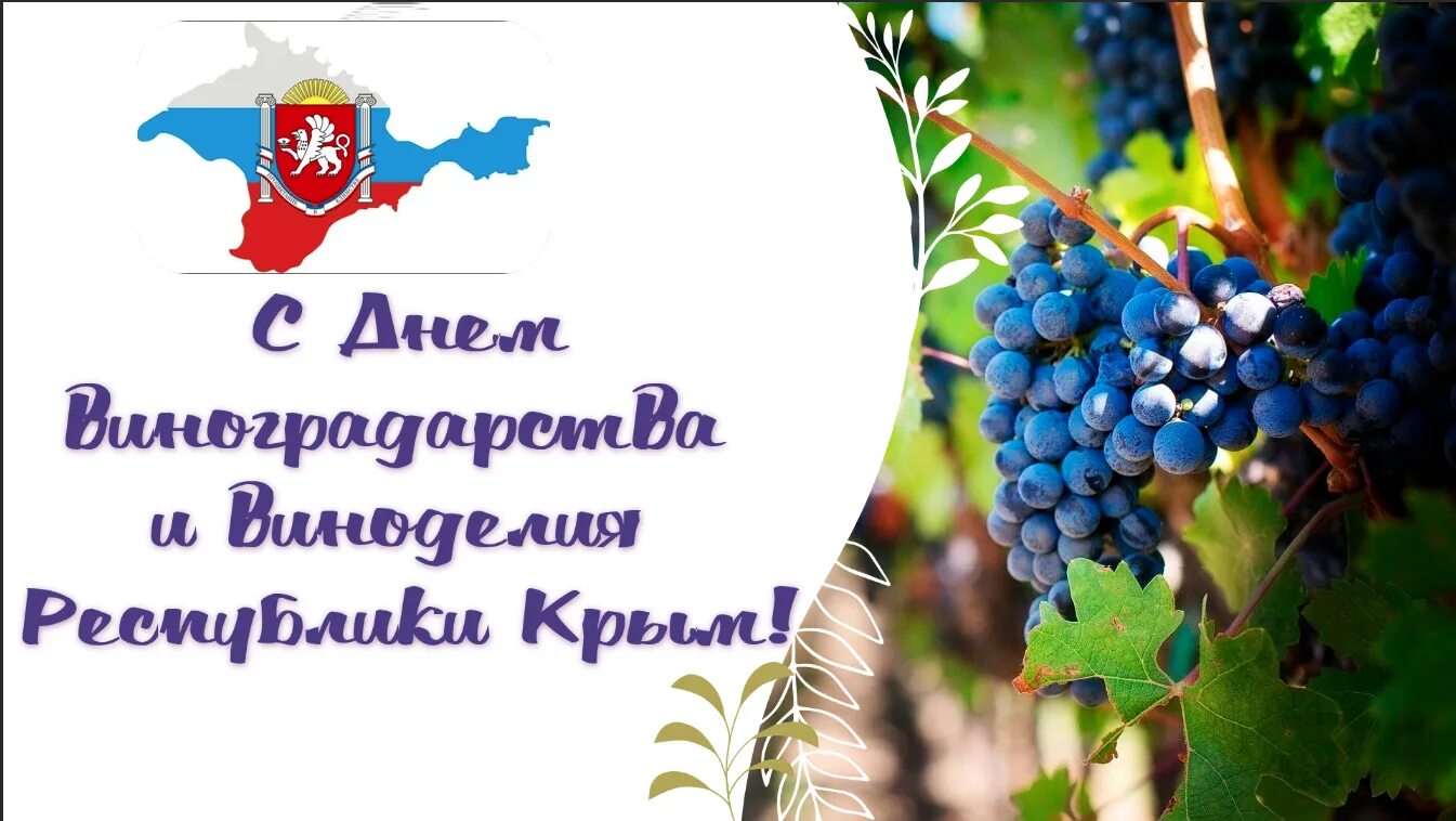 День виноградарства и виноделия. День виноградаря. Праздник винограда. День винограда. Праздники 2023 крым