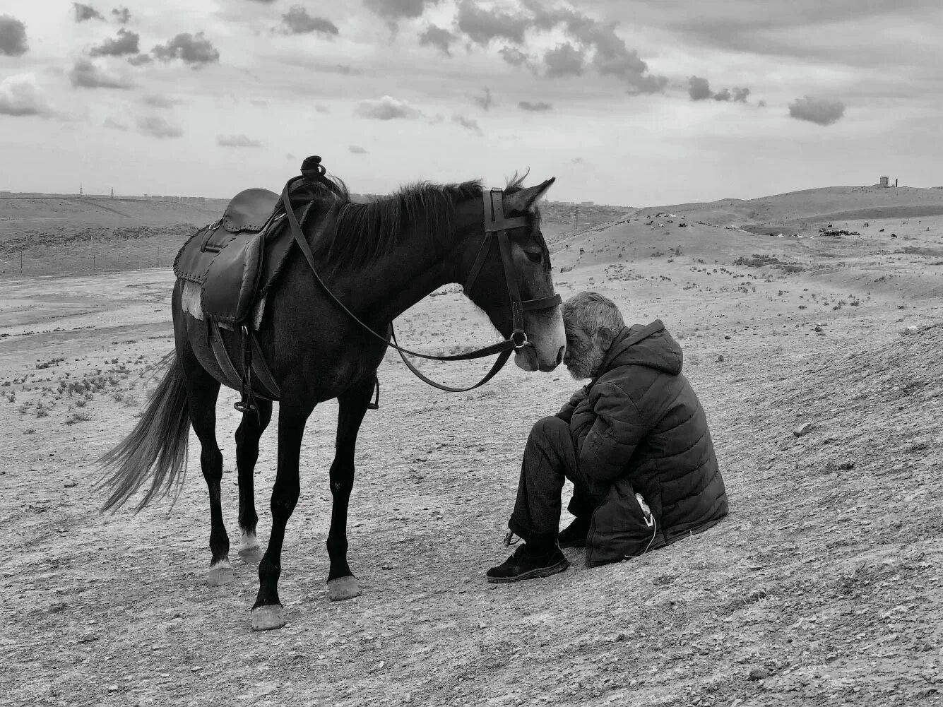 Наилучших снимков. Лучшие фотографии. Фотоконкурс фото. Лучшие фотографии 2021. Photography Awards 2021.