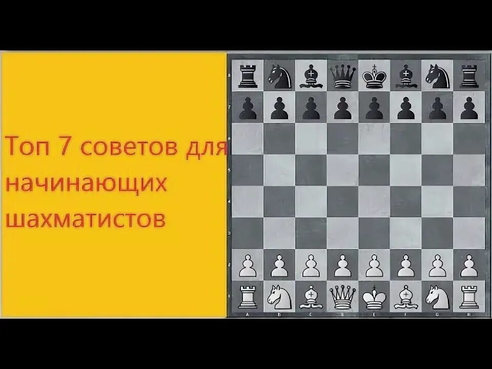 21 ошибка новичка в шахматах. 21 ошибка новичка в шахматах
