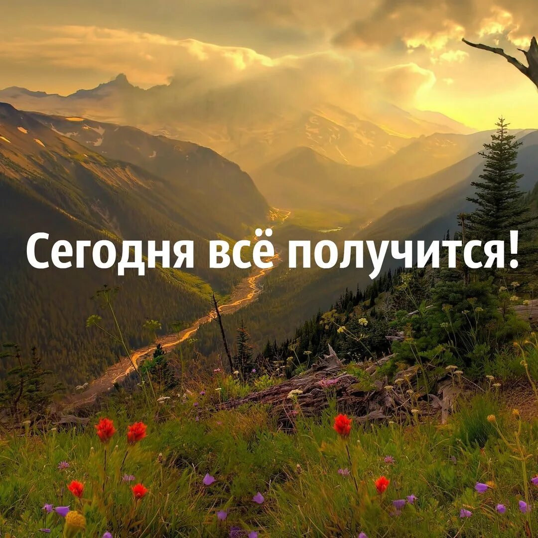 Все получится. У меня все получится!. Пусть всё получится. Сегодня всё получится. У тебя все получится.