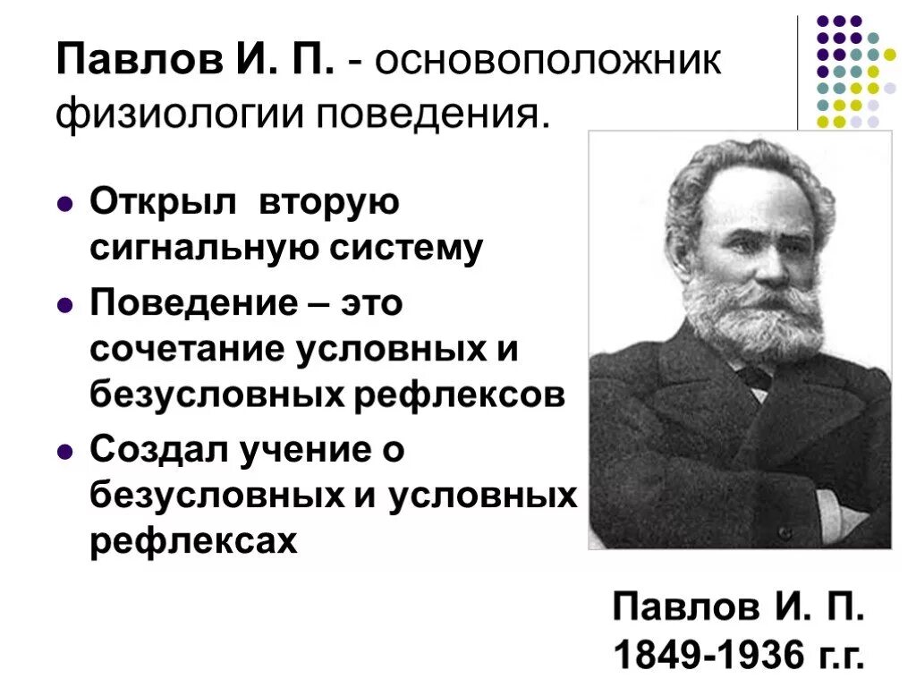 Павлов физиолог открытия. Открытия и.п. Павлова в физиологии.. И П Павлов вклад в биологию. Вклад Павлова в развитие физиологии. Что изучает физиология высшей нервной деятельности