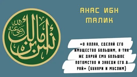 Ибн малик
