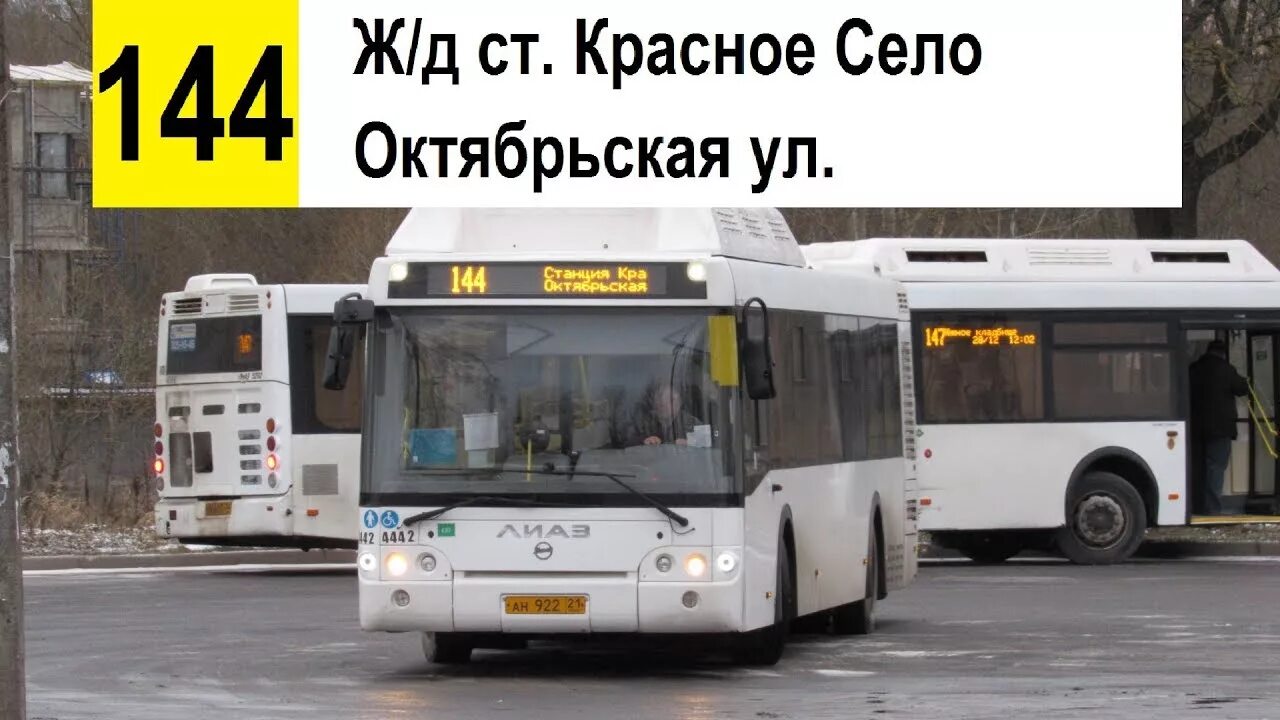 Автобус 144 красное. Автобус 144. 144 Автобус маршрут. 144 Автобус в Красном селе. 144 Автобус Кемерово.