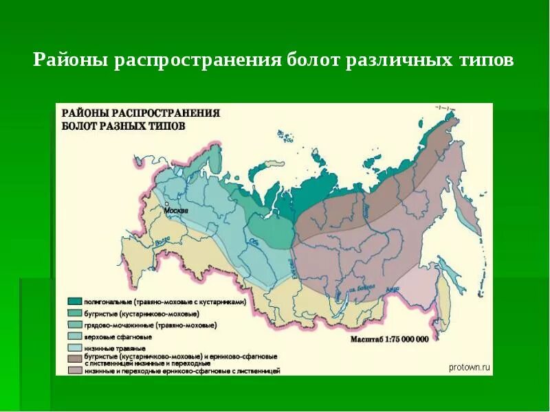 Широко распространенная на территории россии. Районы распространения болот в России на карте. Карта распространения болот на территории России. Географическое распространение болотных почв России. Распространение болот на территории России.