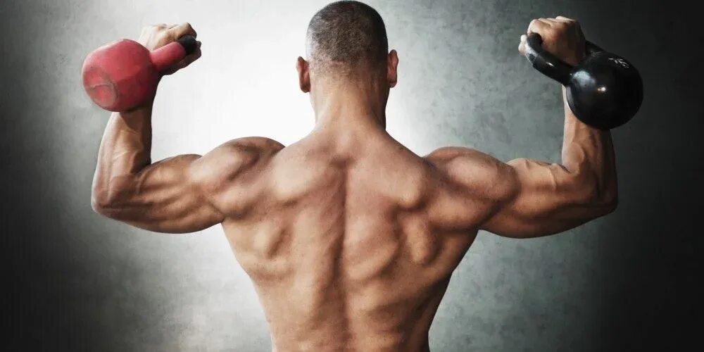 Жим лежа техника. Плиометрика прыжковые упражнения. Как прокачать широчайшие мышцы спины. Бодибилдер с гантелями в спортзале. Большие мышцы.