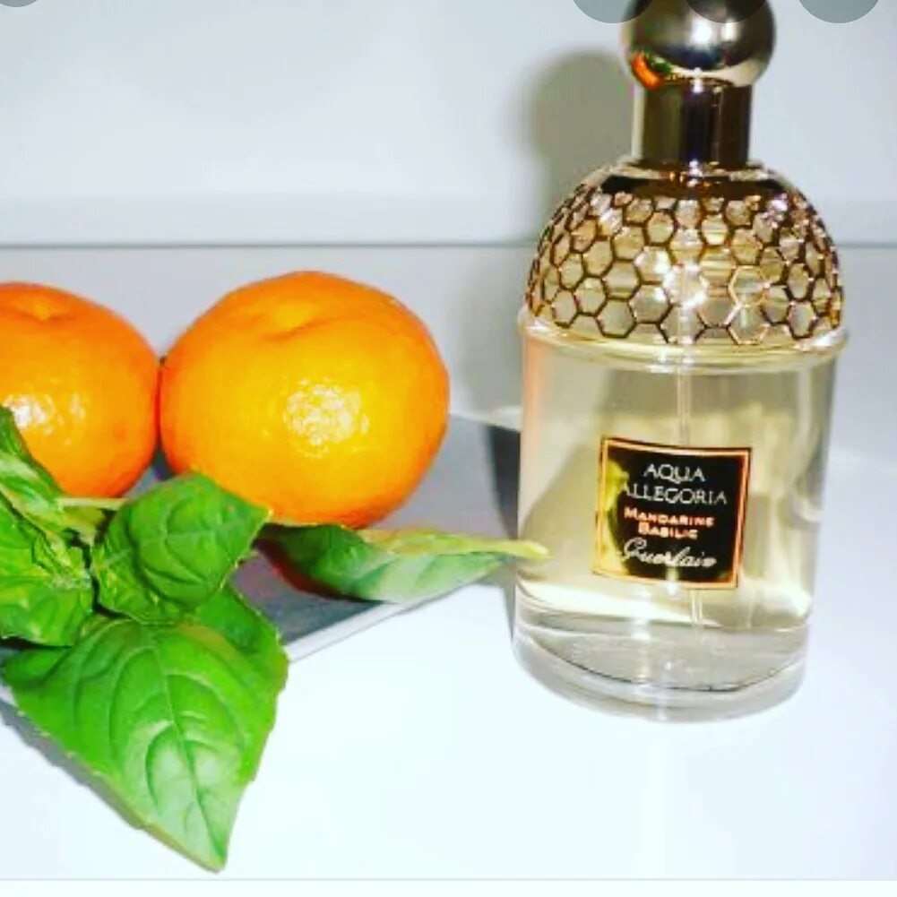 Мандарин в духах. Guerlain Aqua Allegoria Mandarine basilic. Герлен аллегория мандарин базилик. Аква аллегория мандарин. Герлен Аква аллегория мандарин.