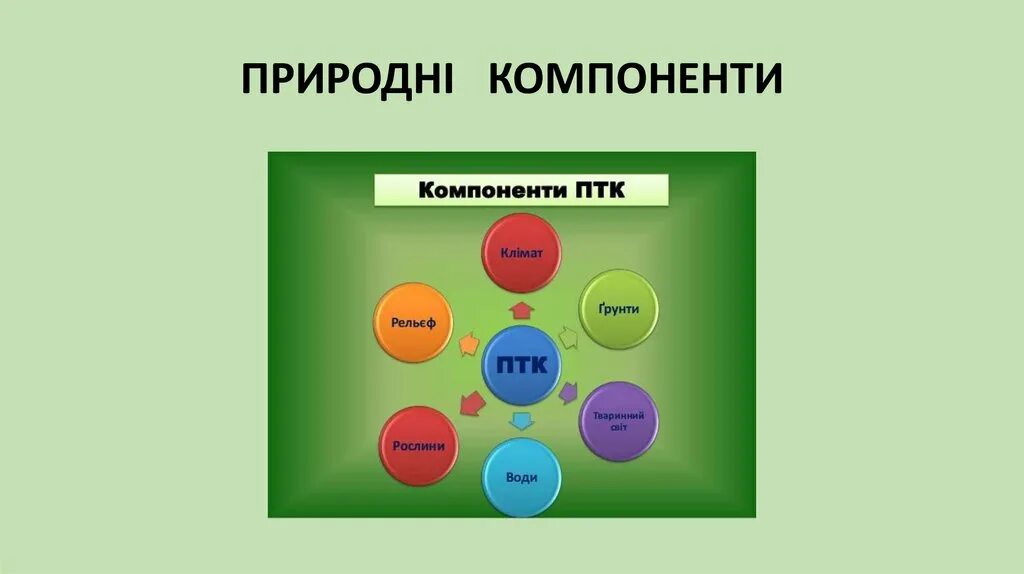 Что относится к природным компонентам. Компоненты природы. Примеры компонентов природы. Компоненты природно территориального комплекса. Компоненты ПТК.