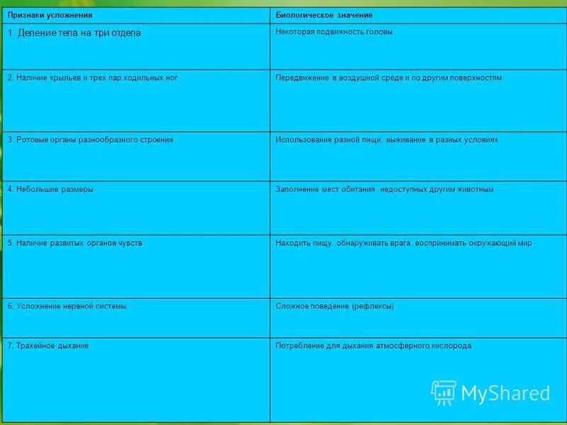 деление тела характеристика