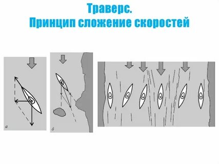 Линия отбора