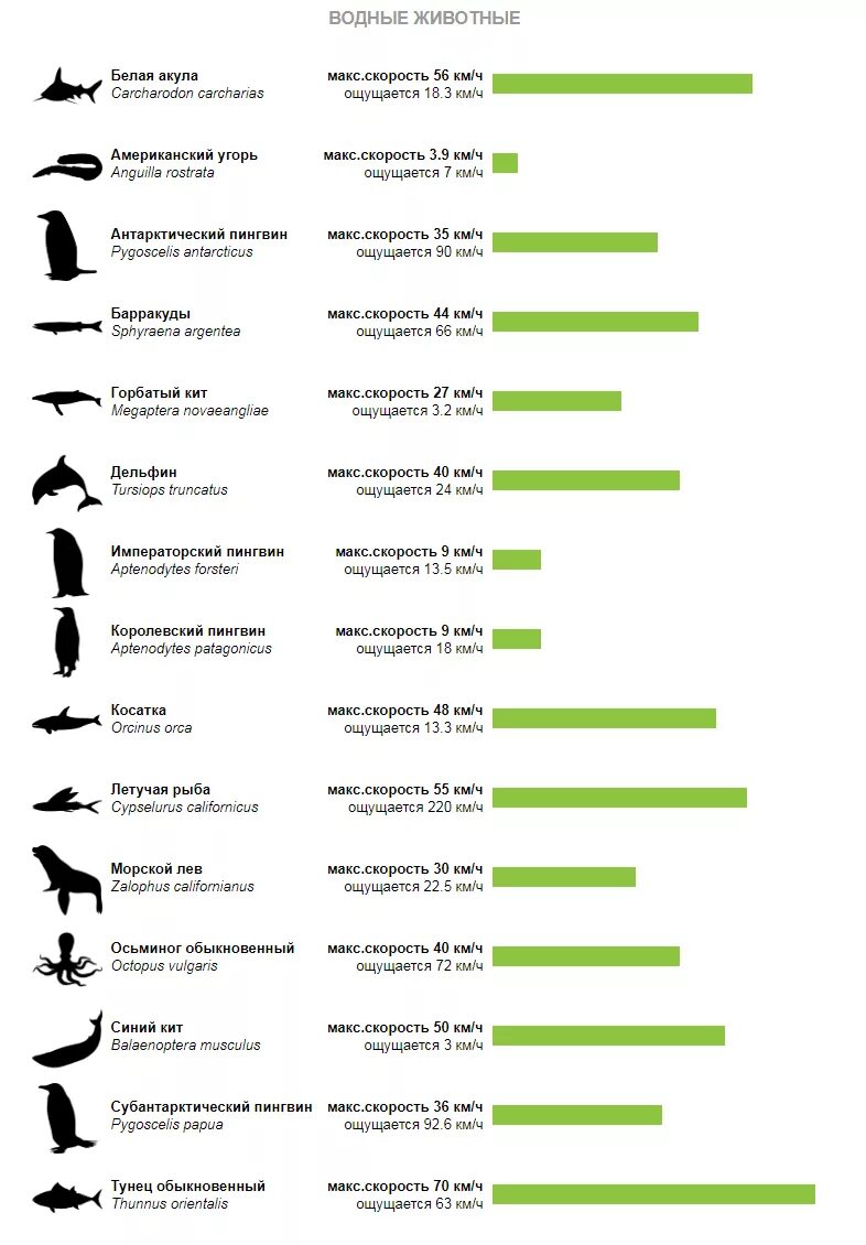 20 махов это сколько. Таблица скорости бега человека. Скорости животных таблица. Скорость бега животных. Рейтинг скорости животных.