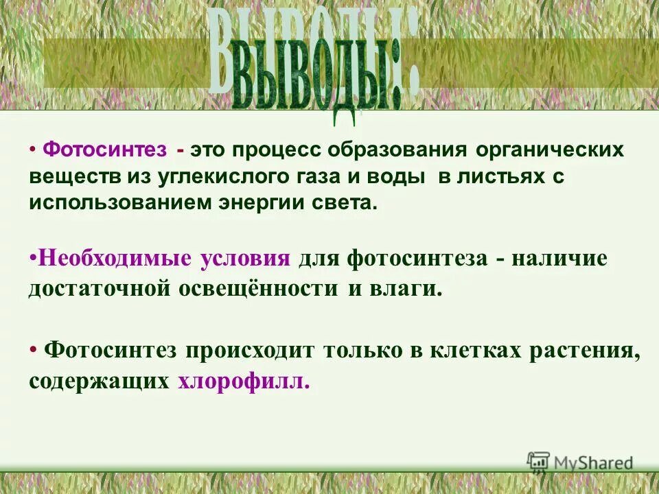 Биология 6 класс фотосинтез ответы на вопросы. Фотосинтез вывод. Фотосинтез презентация. Презентация по теме фотосинтез. Вывод по фотосинтезу.