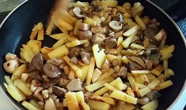 Картофель жареный с грибами. Картошка с лесными грибами на сковороде рецепт. Картошка с лесными грибами на сковороде рецепт. Картошка жареная с грибами шампиньонами. Жареная картошка с шампиньонами.