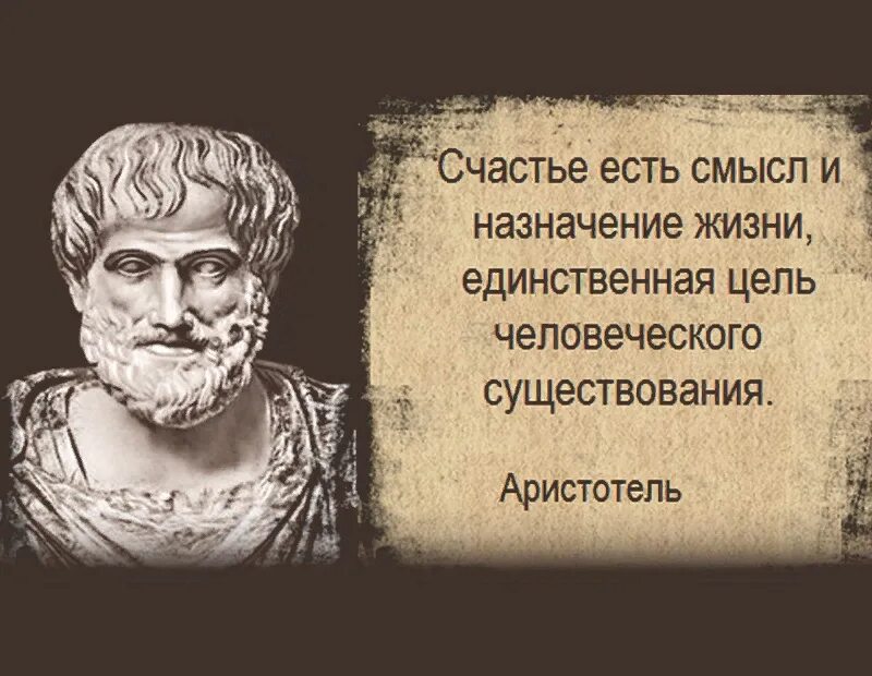 Есть ли смысл жизни человека. Высказывания Аристотеля. Аристотель афоризмы. Высказывания философов о смысле жизни. Аристотель о смысле жизни.