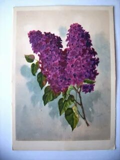 Рисунки к романсам рахманинова