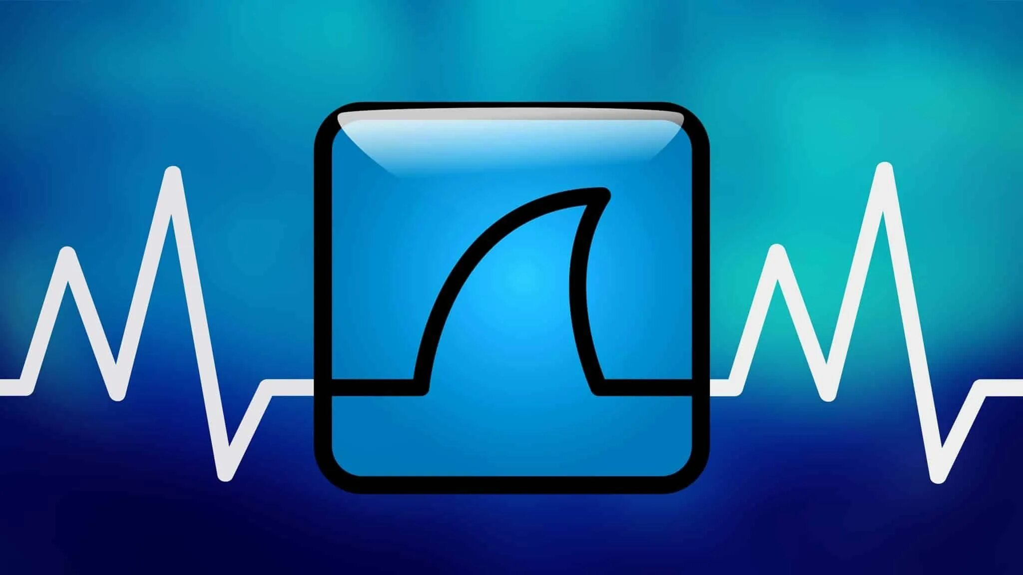 Wireshark download. Wireshark. Картинки Wireshark. Wireshark логотип. Wireshark программа.