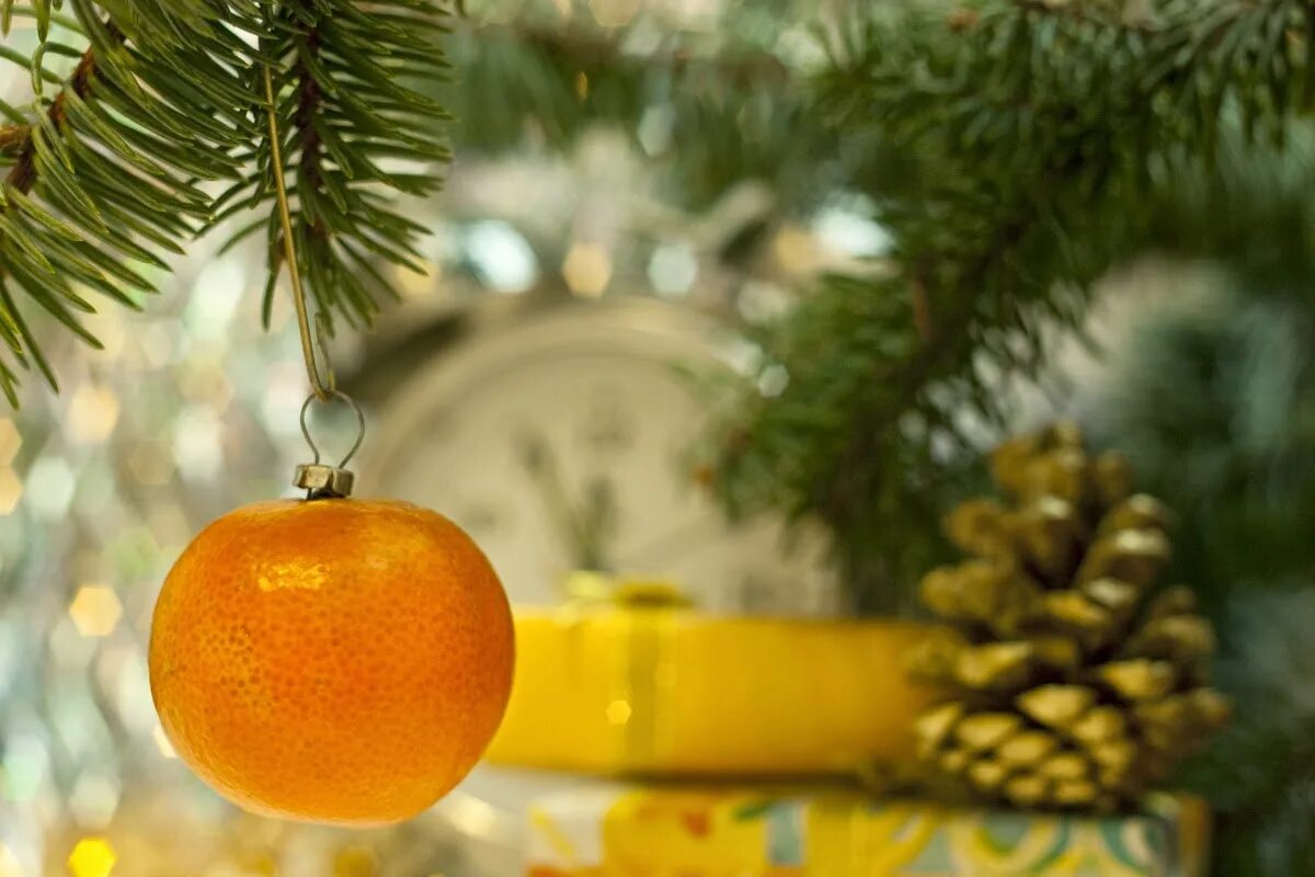 Мандарины новый год. Мандарины и елка. Елка украшенная мандаринами. Елочная игрушка мандарин.