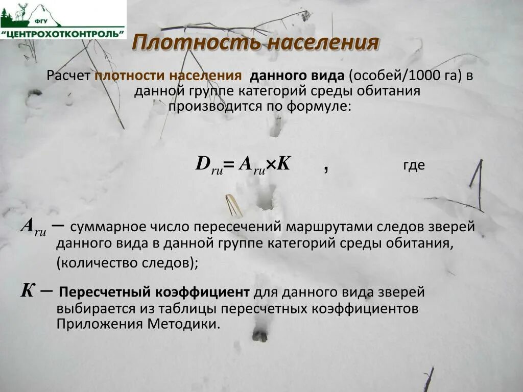Подсчет плотности популяции. Расчет плотности населения. расчет плотности населения птиц. как рассчитать плотность популяции. как рассчитать плотность населения.