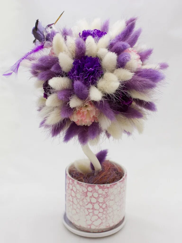 гипсофил сухоцвет бессмертник. топиарий с сухоцветами. топиарии из сухоцветов. сухоцветы деревья названия. папоротник гипсофила папоротник.