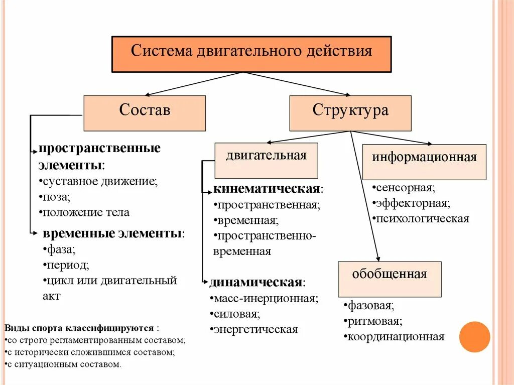 Структура состояние движение. Состав системы движений. Система двигательных действий это. Структура системы движений. Двигательный состав действия.