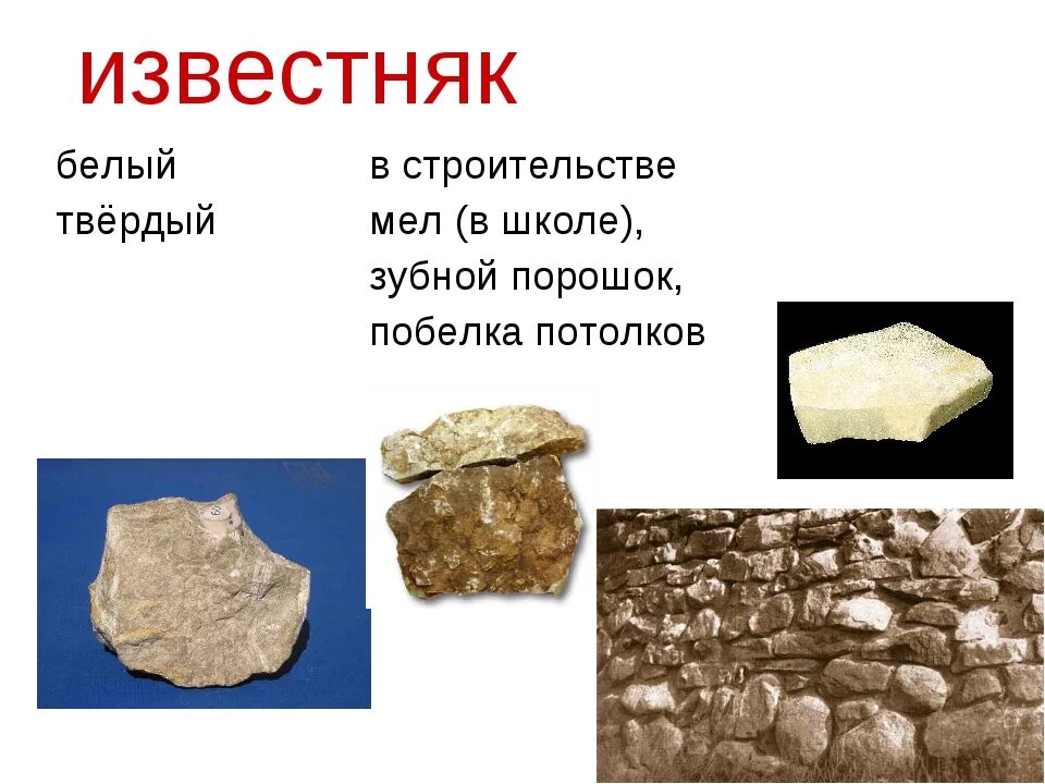 Известняк относится к породам. Полезные ископаемые известняк. Известняк полезное ископаемое. Ископаемые в известняке. Известняк камень для детей.