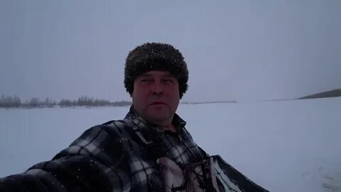 Золотая рыбка нижневартовск