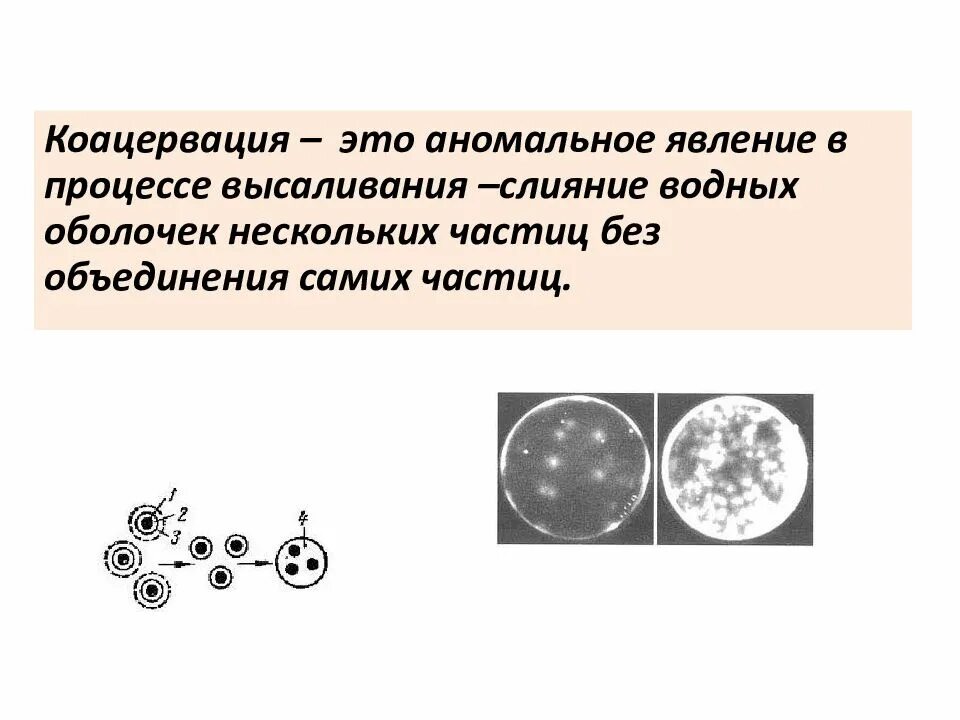 Коацерваты живые организмы. Процесс коацервации. Коацервация ВМС. Что собой представляли коацерваты. Роль коацервации в биологических процессах.