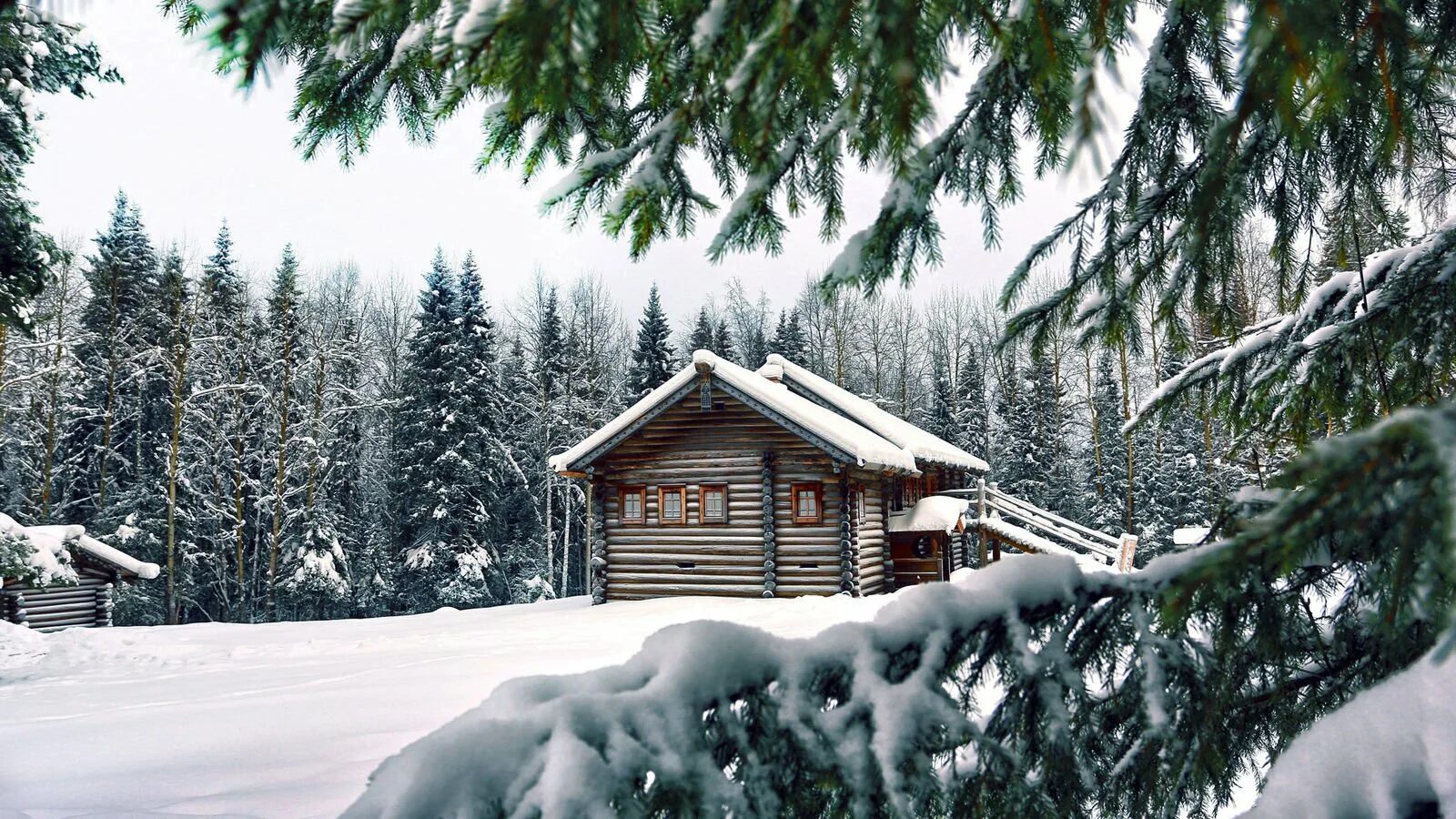В лесу зимой можно. Домик в зимнем лесу. Дом в лесу зимой. Заснеженный домик в лесу. Домик в лесу зимой.