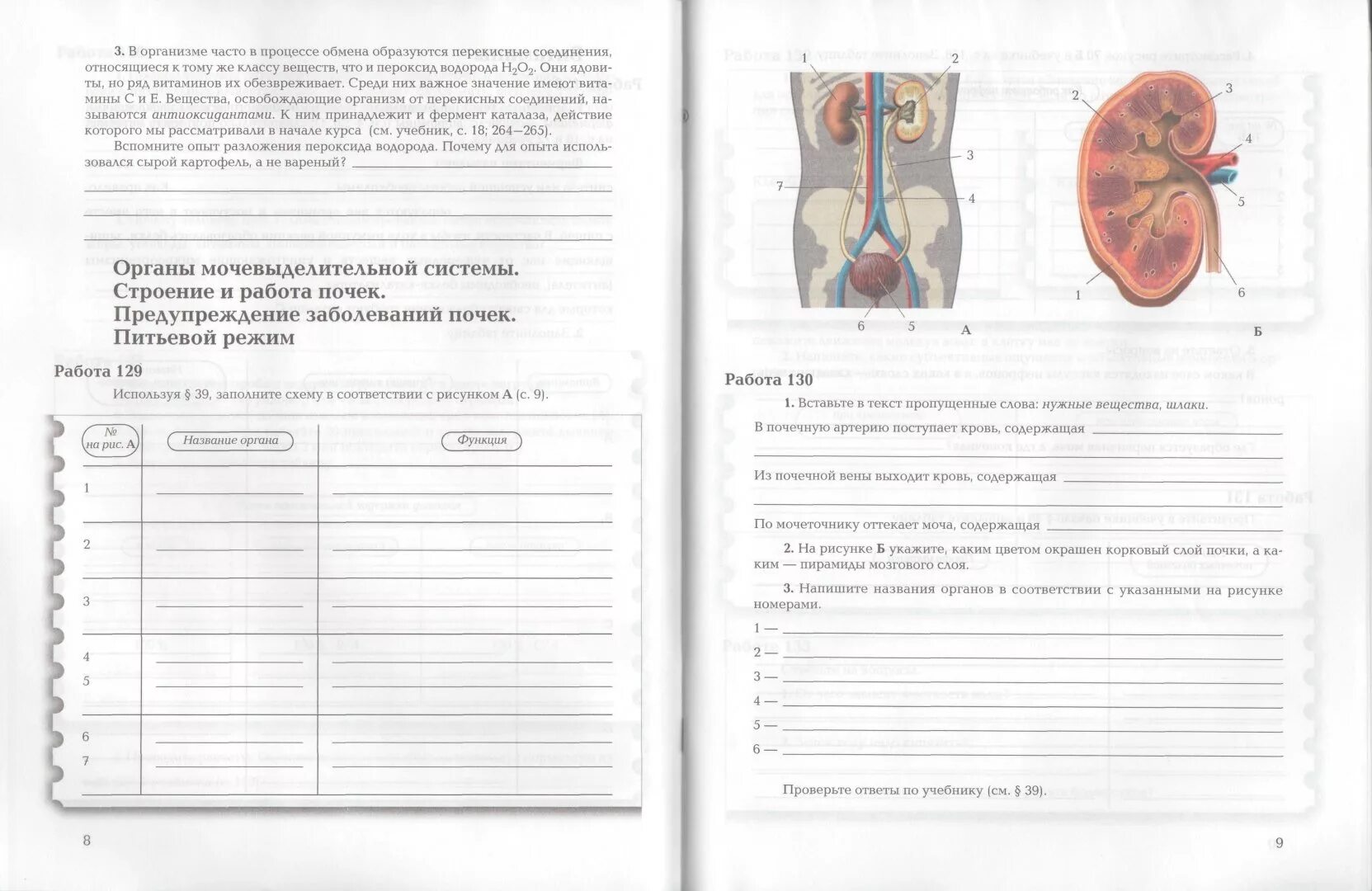 Биология 8 класс драгомилов строения функции почек. Драгомилов 8 кл. Биология. Человек. Рабочая тетрадь № 1. Биология 8 класс рабочая тетрадь анатомия. Биология 8 класс рабочая тетрадь драгомилов.