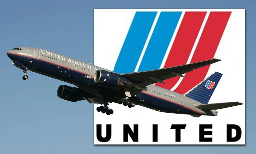 The flight number